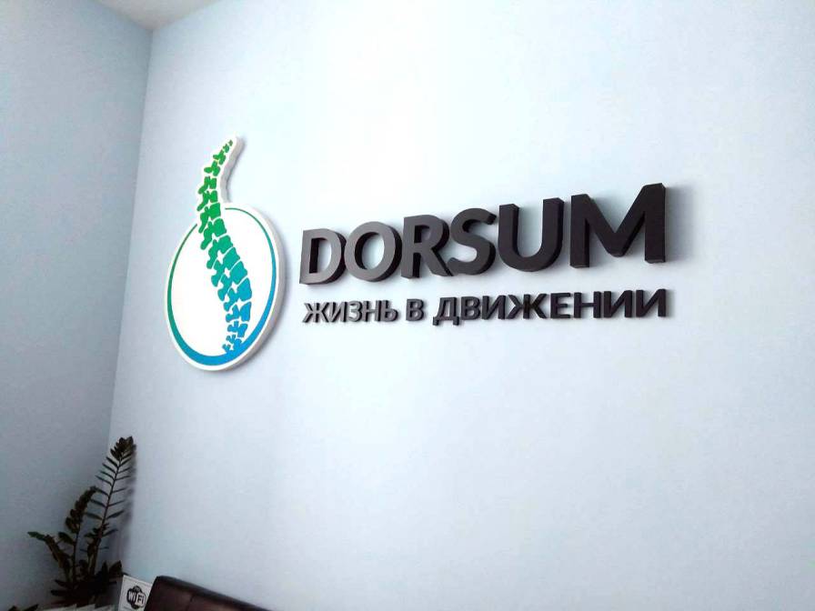 dorsum